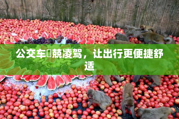 公交车妺兢凌驾，让出行更便捷舒适