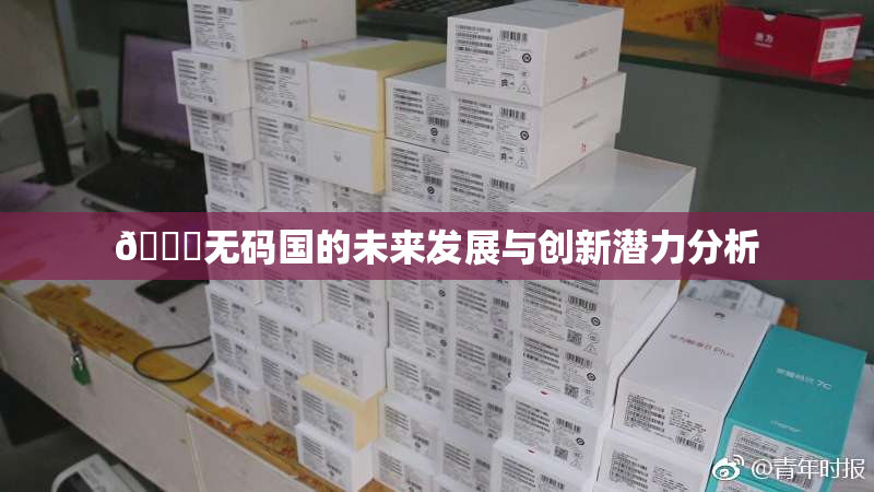 🔞无码国的未来发展与创新潜力分析