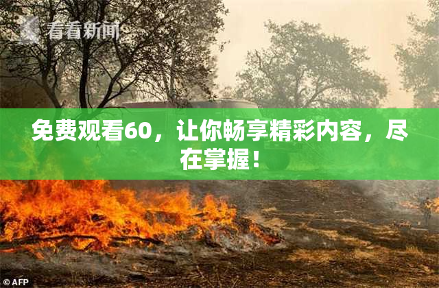 免费观看60，让你畅享精彩内容，尽在掌握！