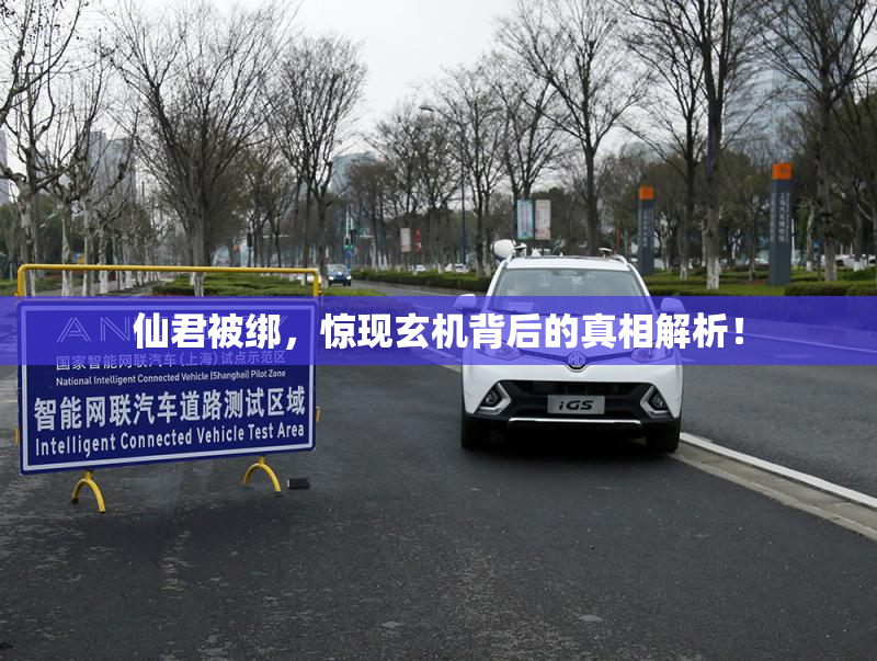 仙君被绑，惊现玄机背后的真相解析！