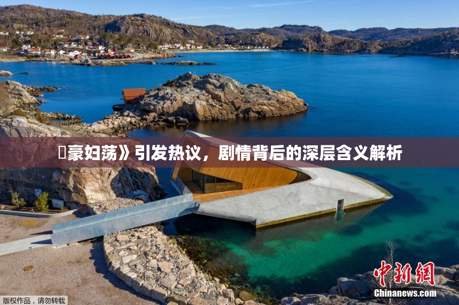 巜豪妇荡》引发热议，剧情背后的深层含义解析