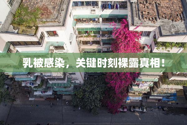 乳被感染，关键时刻裸露真相！