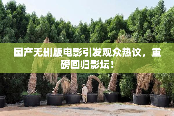 国产无删版电影引发观众热议，重磅回归影坛！