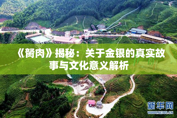 《胬肉》揭秘：关于金银的真实故事与文化意义解析