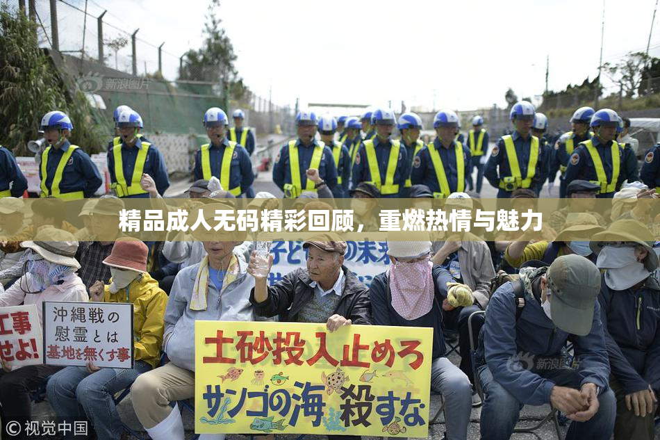 精品成人无码精彩回顾，重燃热情与魅力