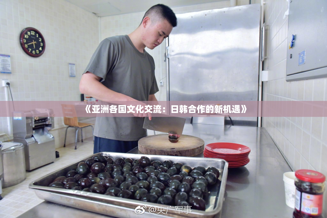 《亚洲各国文化交流：日韩合作的新机遇》