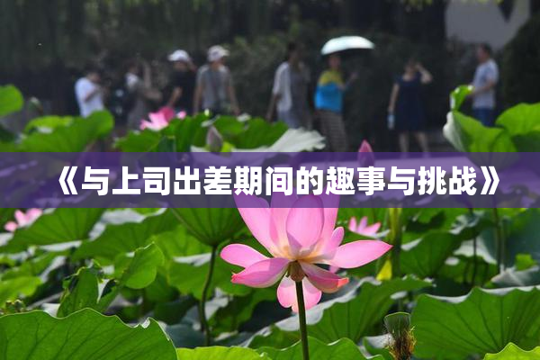 《与上司出差期间的趣事与挑战》
