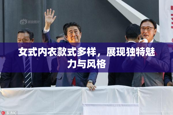 女式内衣款式多样，展现独特魅力与风格