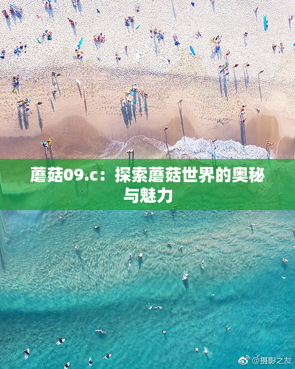 蘑菇09.c：探索蘑菇世界的奥秘与魅力