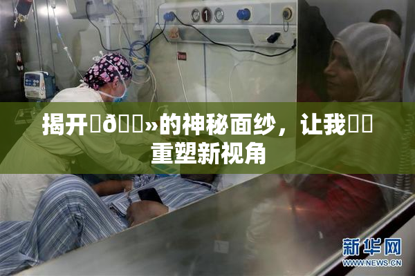 揭开‌🐻的神秘面纱，让我❌‌重塑新视角