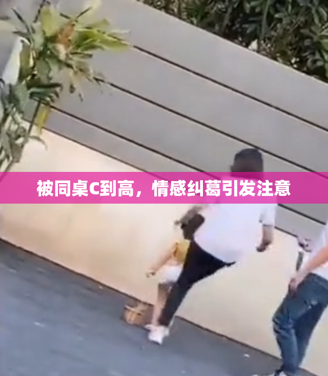被同桌C到高，情感纠葛引发注意