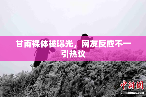 甘雨裸体被曝光，网友反应不一引热议