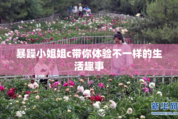 暴躁小姐姐c带你体验不一样的生活趣事