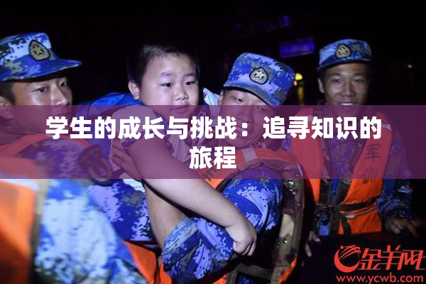 学生的成长与挑战：追寻知识的旅程