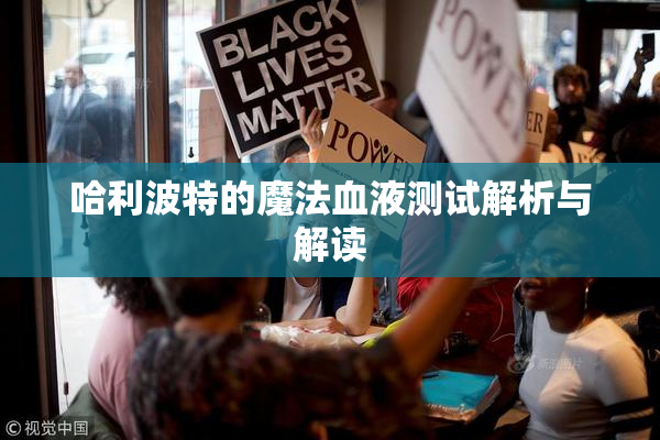 哈利波特的魔法血液测试解析与解读