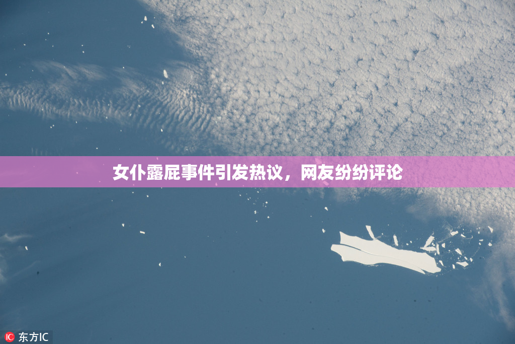 女仆露屁事件引发热议，网友纷纷评论