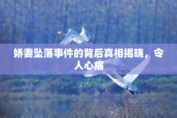 娇妻坠落事件的背后真相揭晓，令人心痛