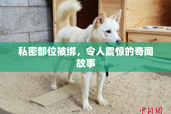 私密部位被绑，令人震惊的奇闻故事