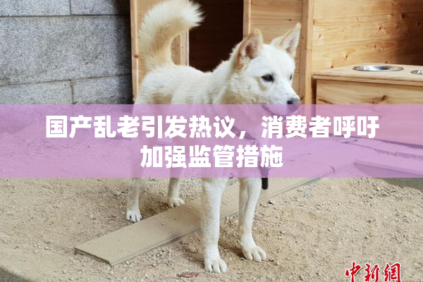 国产乱老引发热议，消费者呼吁加强监管措施