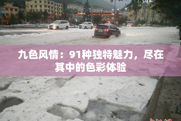 九色风情：91种独特魅力，尽在其中的色彩体验