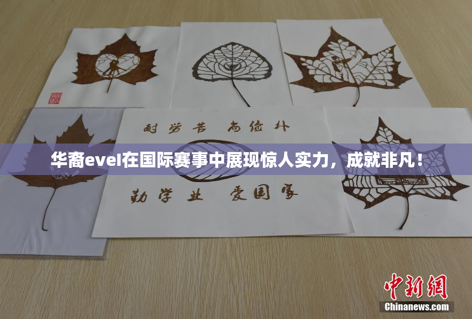 华裔eveI在国际赛事中展现惊人实力，成就非凡！