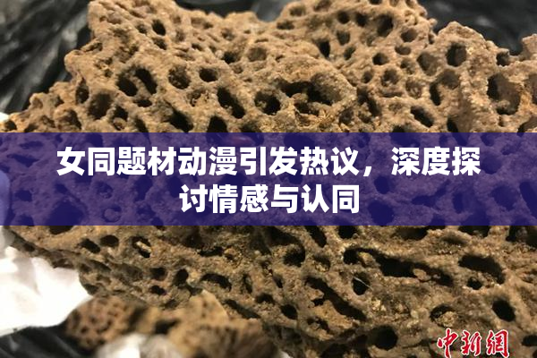 女同题材动漫引发热议，深度探讨情感与认同