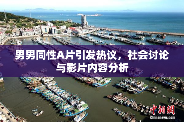 男男同性A片引发热议，社会讨论与影片内容分析