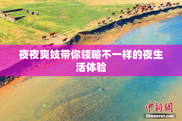 夜夜爽妓带你领略不一样的夜生活体验