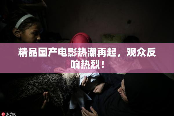 精品国产电影热潮再起，观众反响热烈！