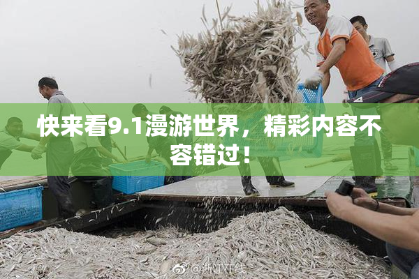 快来看9.1漫游世界，精彩内容不容错过！