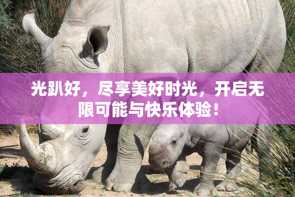 光趴好，尽享美好时光，开启无限可能与快乐体验！