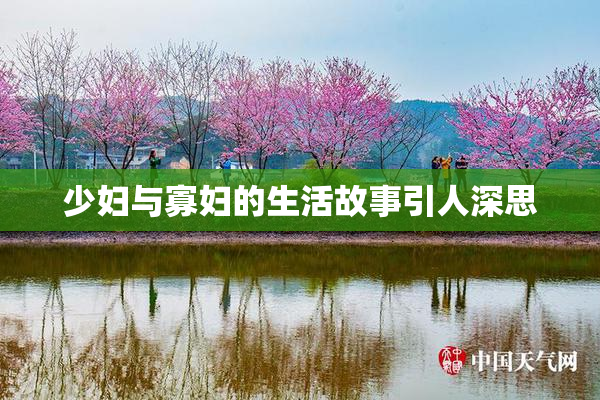 少妇与寡妇的生活故事引人深思