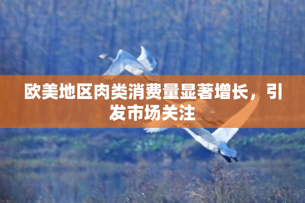 欧美地区肉类消费量显著增长，引发市场关注