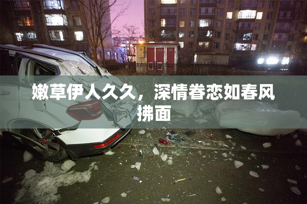 嫩草伊人久久，深情眷恋如春风拂面