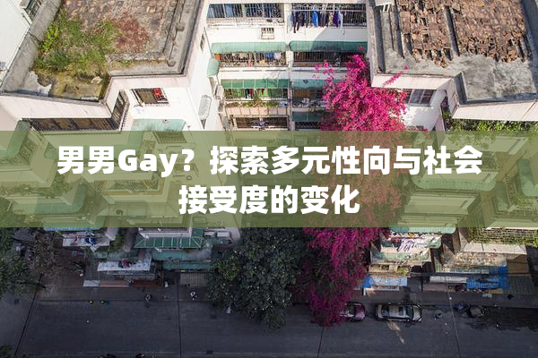 男男Gay？探索多元性向与社会接受度的变化