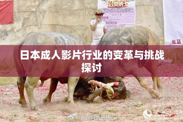 日本成人影片行业的变革与挑战探讨