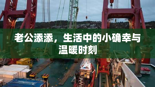 老公添添，生活中的小确幸与温暖时刻