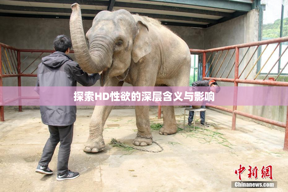 探索HD性欲的深层含义与影响
