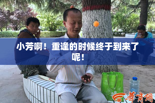 小芳啊！重逢的时候终于到来了呢！