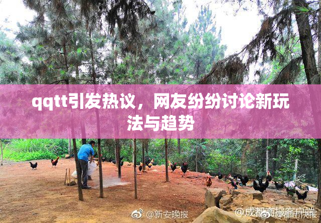 qqtt引发热议，网友纷纷讨论新玩法与趋势