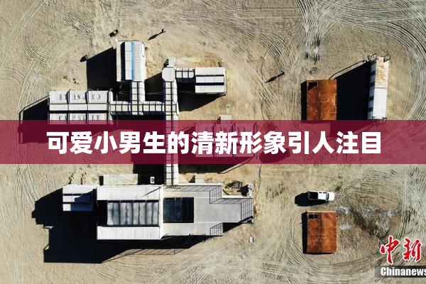 可爱小男生的清新形象引人注目