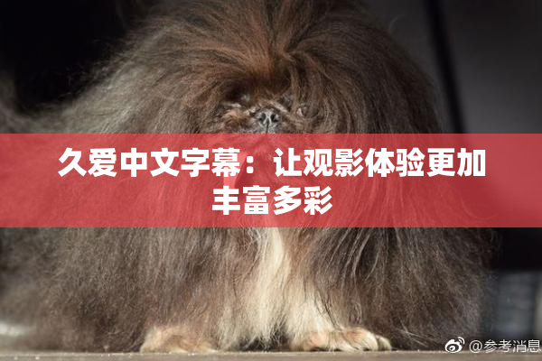 久爱中文字幕：让观影体验更加丰富多彩