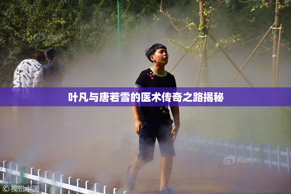 叶凡与唐若雪的医术传奇之路揭秘