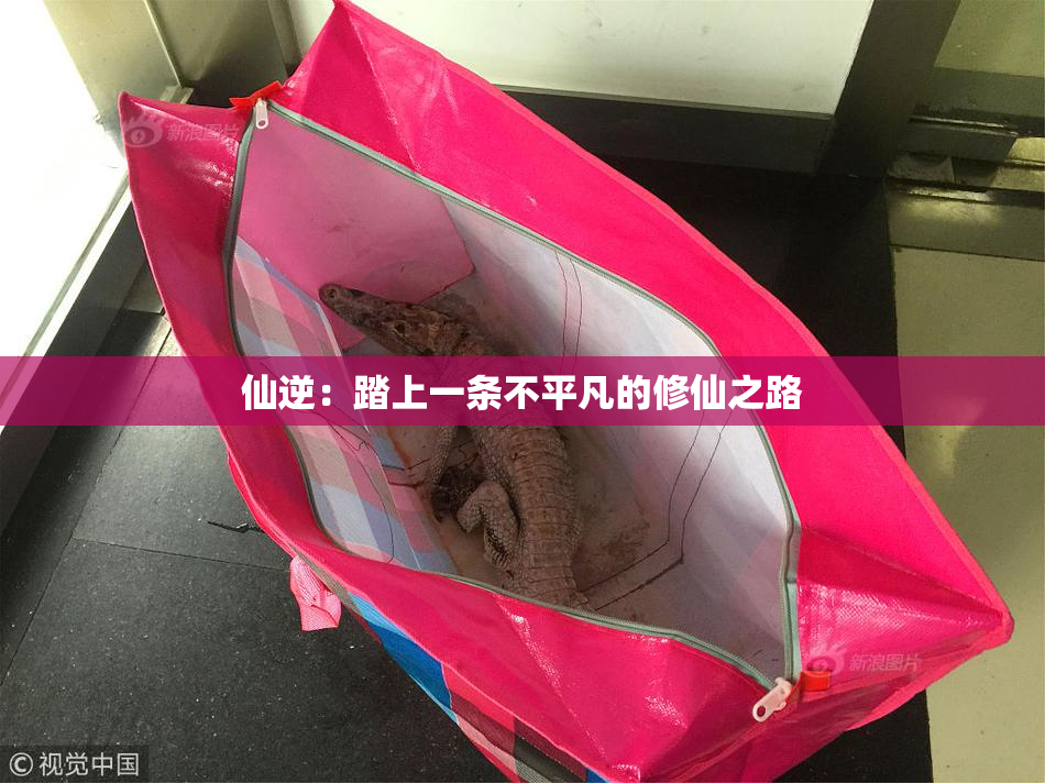 仙逆：踏上一条不平凡的修仙之路