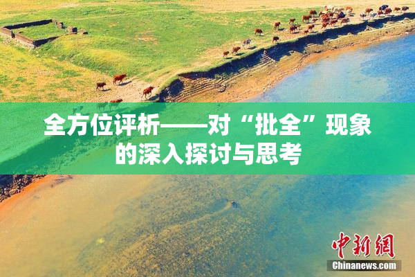 全方位评析——对“批全”现象的深入探讨与思考