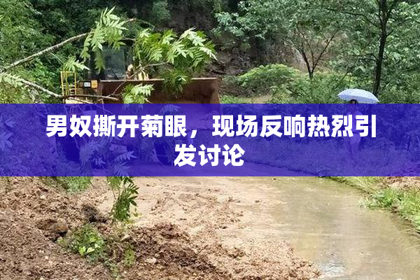 男奴撕开菊眼，现场反响热烈引发讨论
