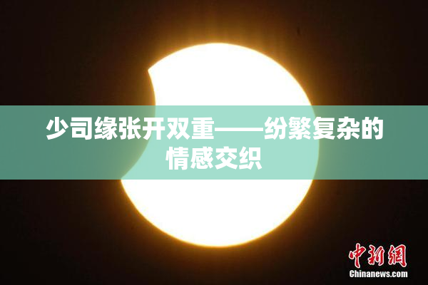 少司缘张开双重——纷繁复杂的情感交织