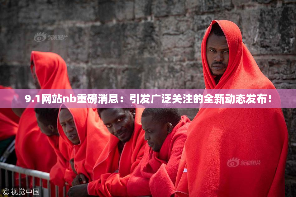 9.1网站nb重磅消息：引发广泛关注的全新动态发布！