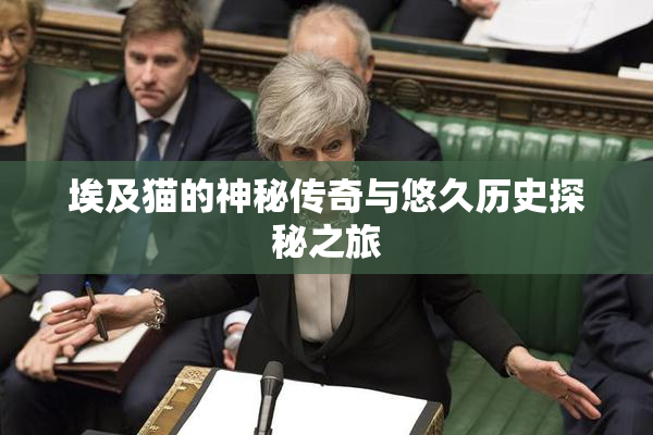 埃及猫的神秘传奇与悠久历史探秘之旅