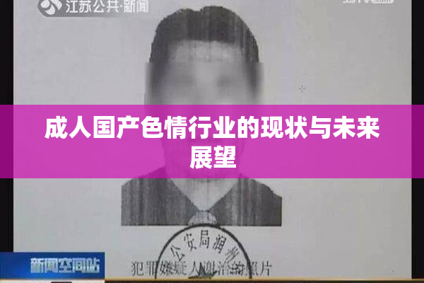 成人国产色情行业的现状与未来展望
